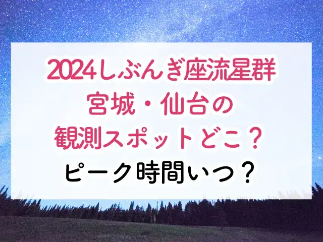 2024しぶんぎ座流星群の宮城・仙台観測スポットとピーク時間は？
